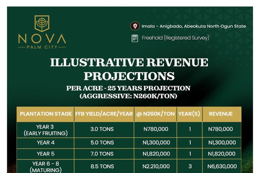Nova Palm City - revenue per acre